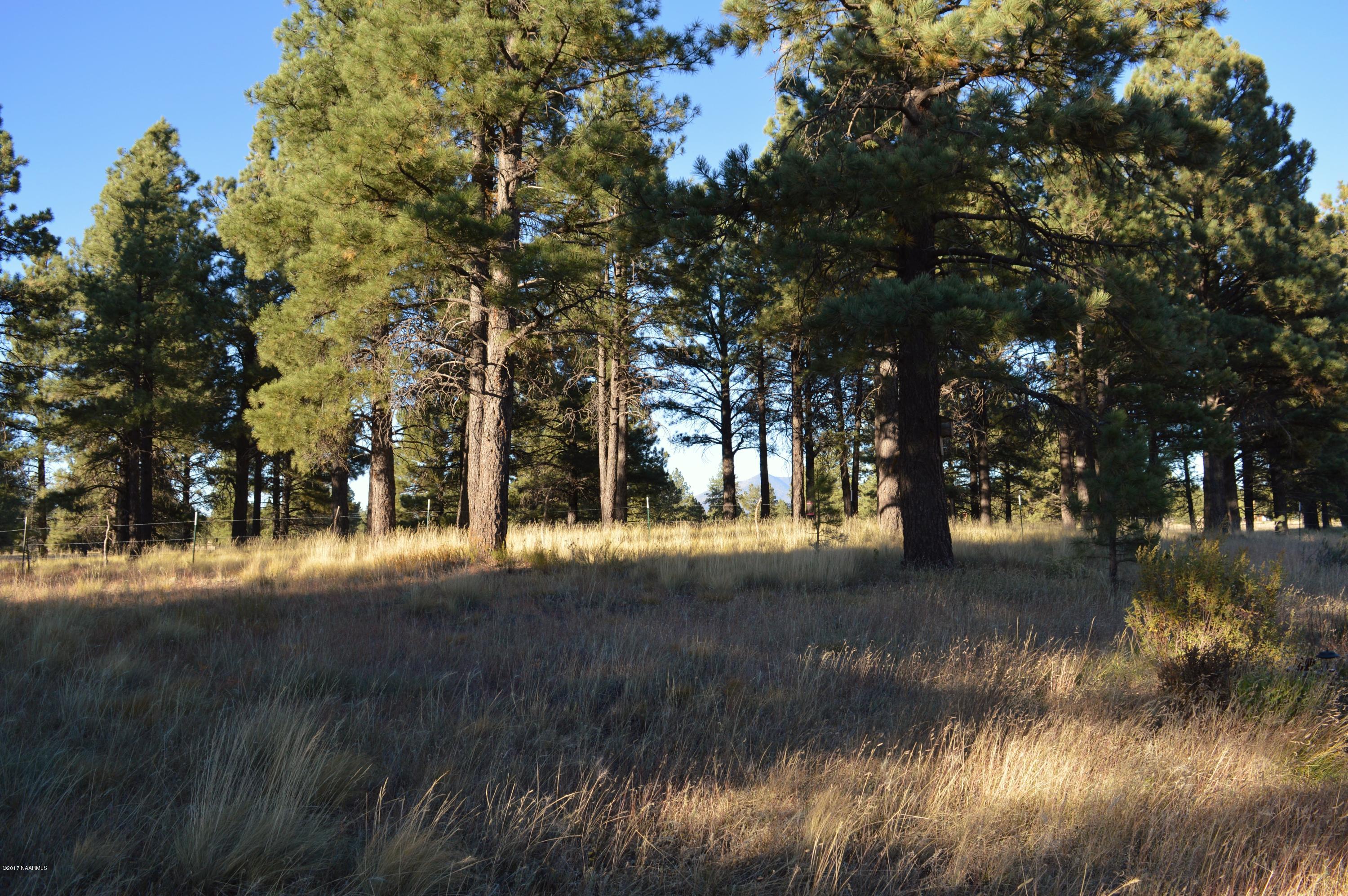 13403 King John Road Parks, AZ 86018 - Photo 61 of 67 DSC_0555 (2)