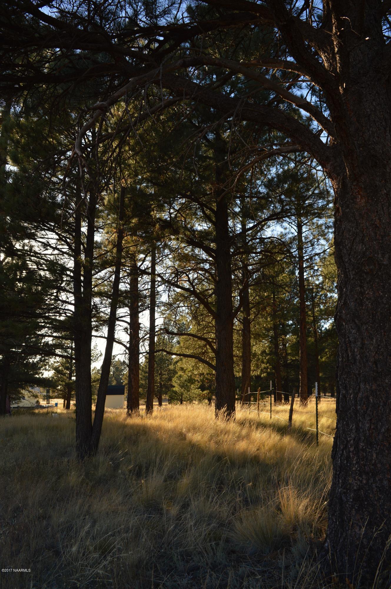 13403 King John Road Parks, AZ 86018 - Photo 63 of 67 DSC_0569 (2)