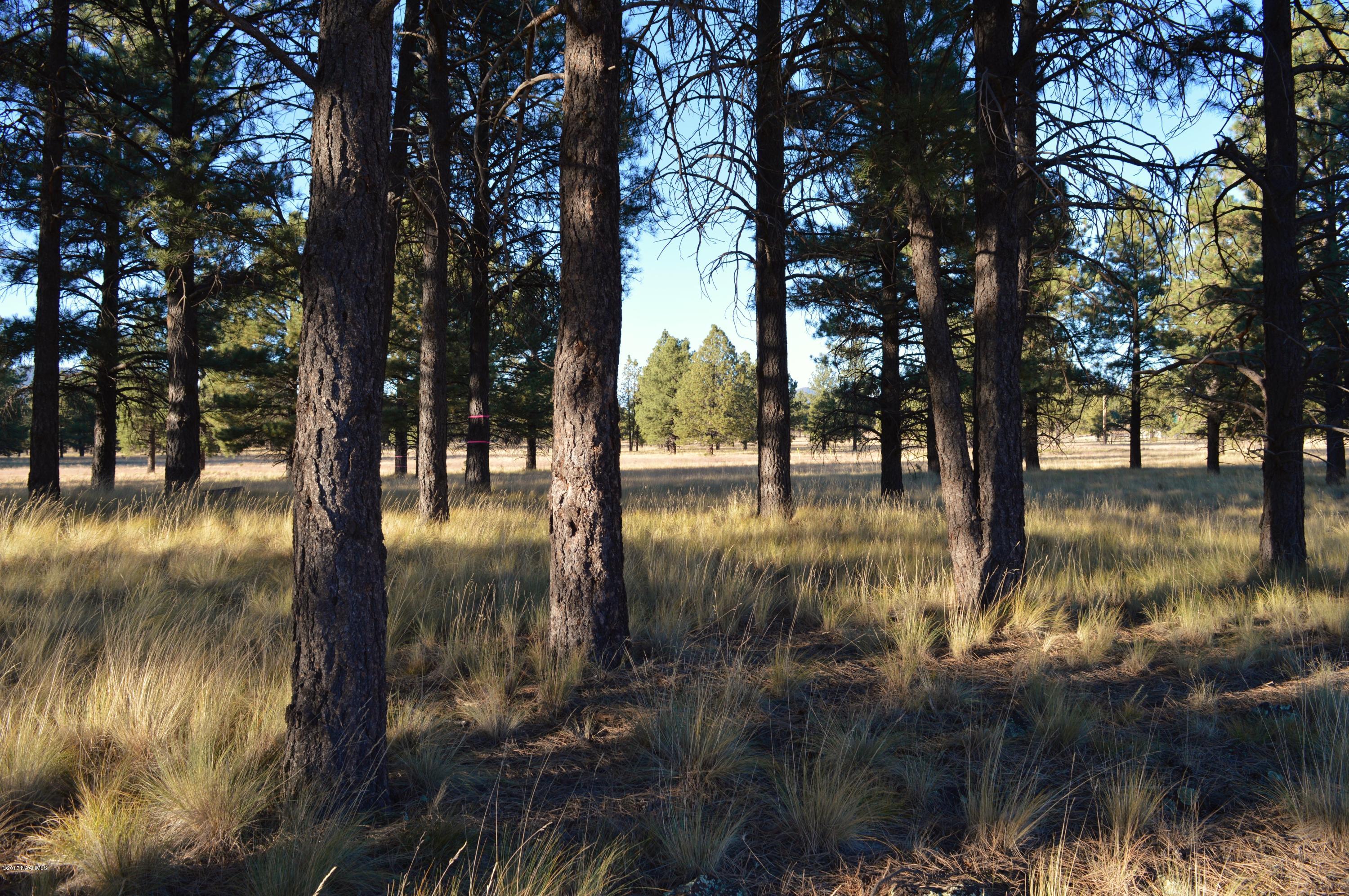13403 King John Road Parks, AZ 86018 - Photo 65 of 67 DSC_0572 (2)