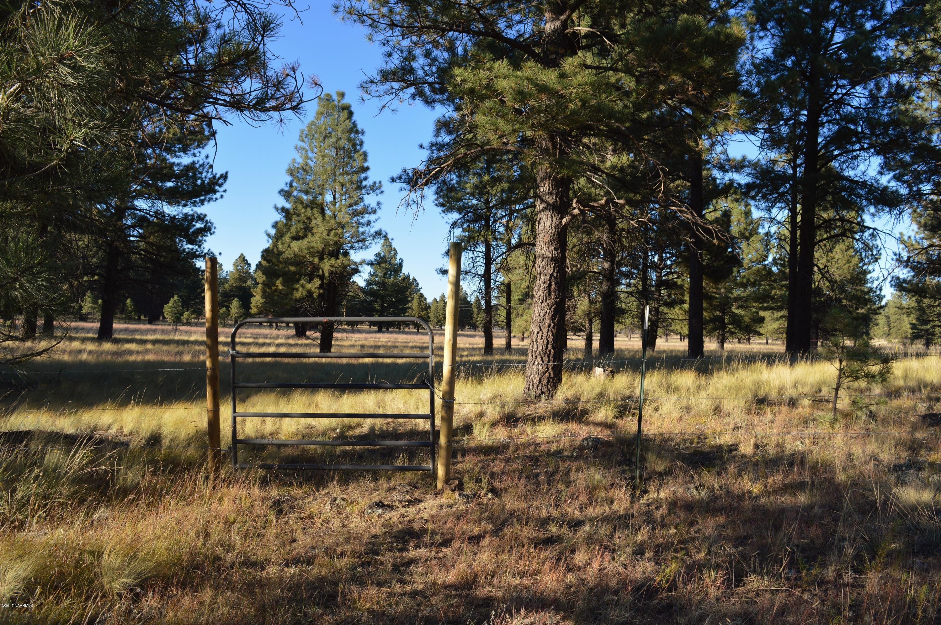 13403 King John Road Parks, AZ 86018 - Photo 66 of 67 DSC_0576 (2)