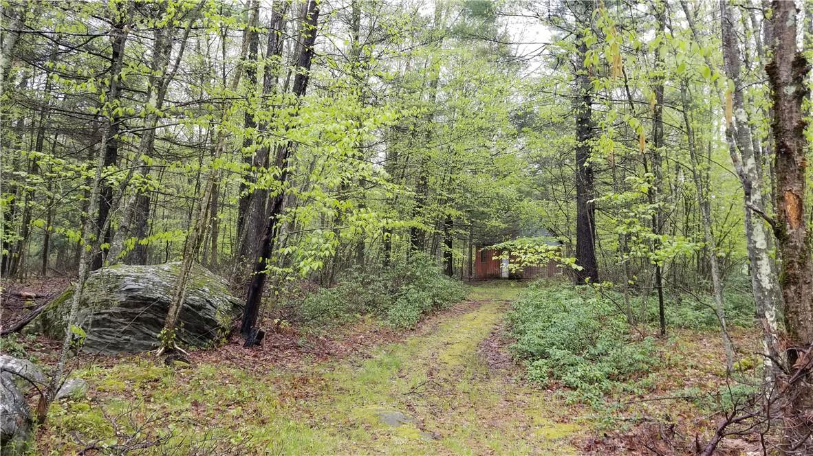 Lot #77 Perry Pond Road Narrowsburg, NY 12764 - Photo 1 of 1 Gallery Image 1