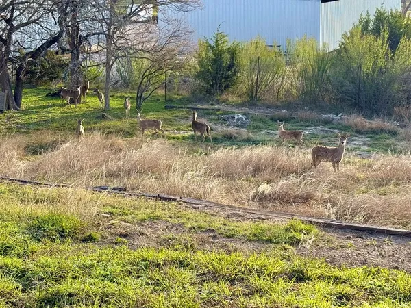 $339,000 | 219 Wedgewood Lane, Kerrville, TX 78028