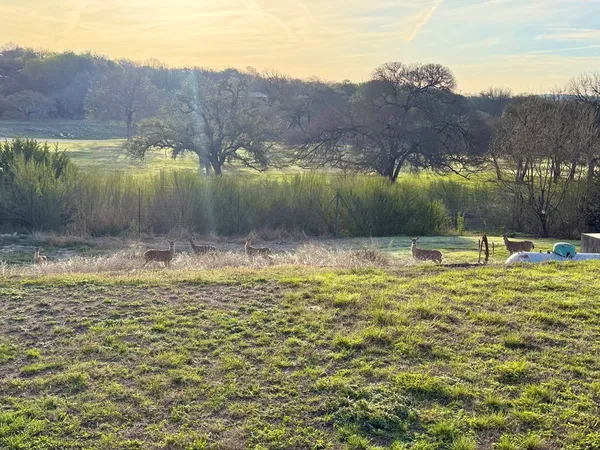 $339,000 | 219 Wedgewood Lane, Kerrville, TX 78028