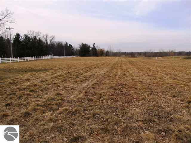 Lot 35 South Chippewa Road Mount Pleasant, MI 48858 - Photo 2 of 5 1744003-1.JPG