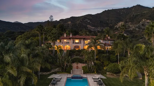 a view of a park with plants and palm trees