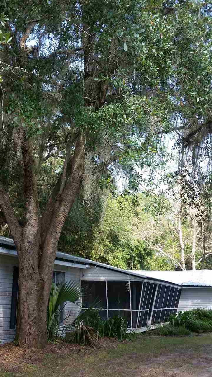 2469 Highway 221 Perry, FL 32347 - Photo 16 of 26