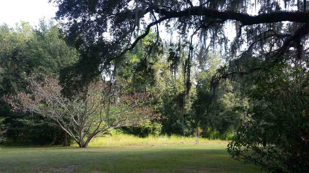 2469 Highway 221 Perry, FL 32347 - Photo 17 of 26