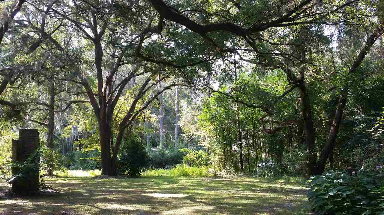 2469 Highway 221 Perry, FL 32347 - Photo 18 of 26