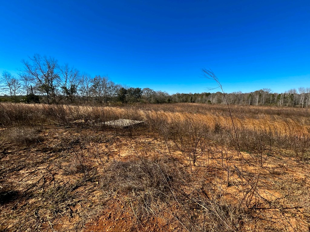 2776 New Hinson Road Slocomb, AL 36375 - Photo 9 of 12