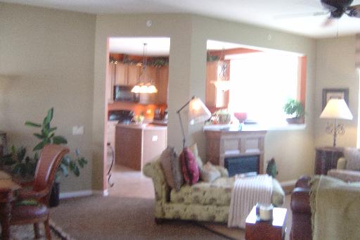 13527 Hemlock Road Huntley, IL 60142 - Photo 4 of 13