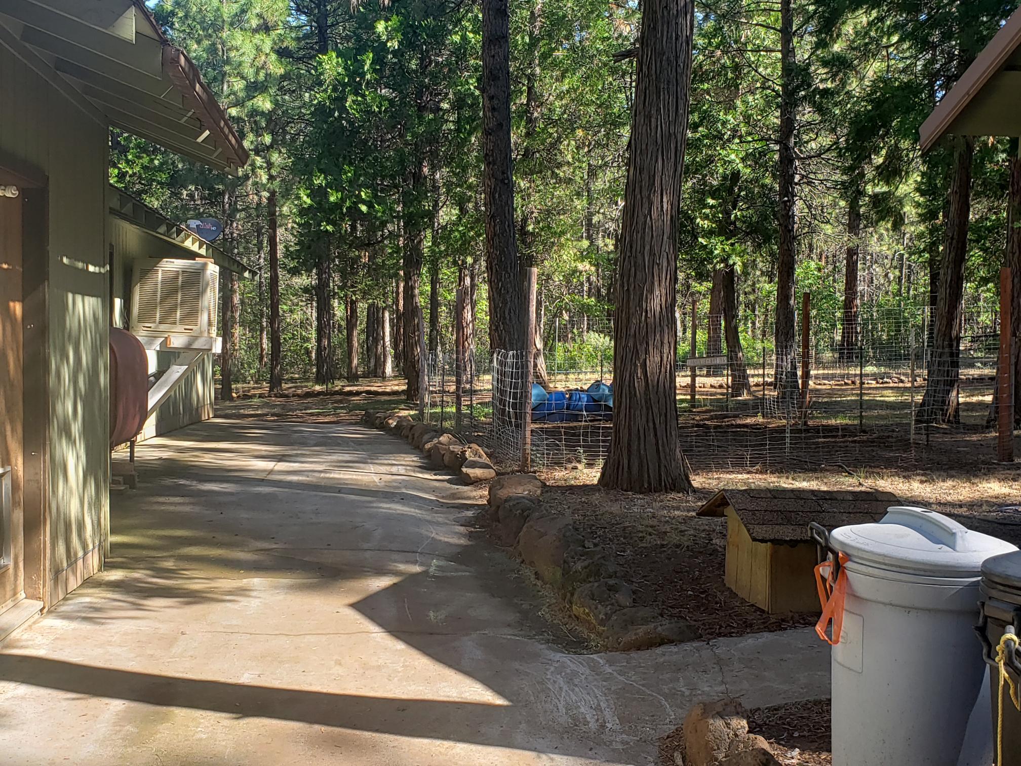 29611 Day Road McArthur, CA 96056 - Photo 15 of 42 concrete walkway