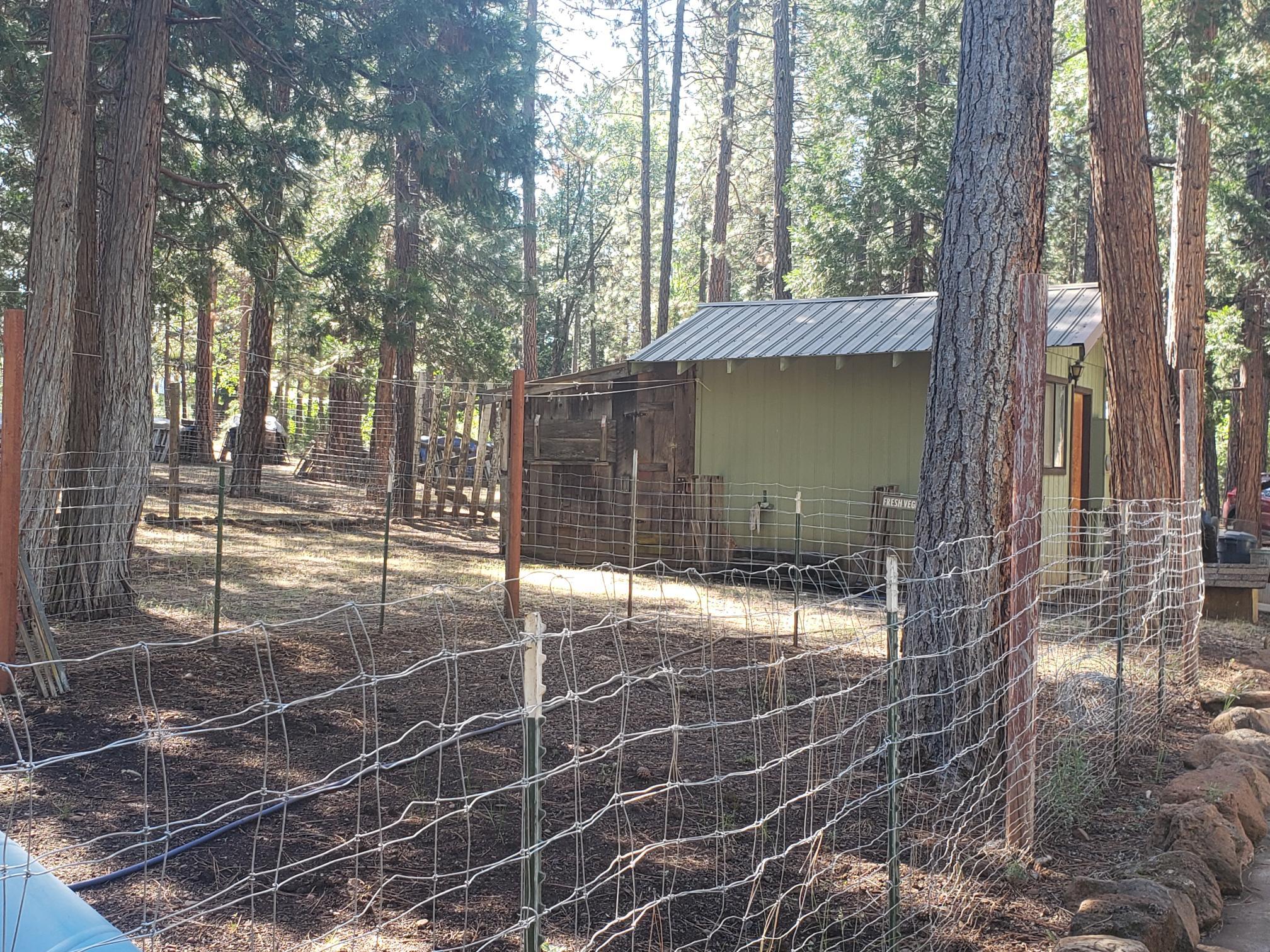 29611 Day Road McArthur, CA 96056 - Photo 19 of 42 fenced dog pen