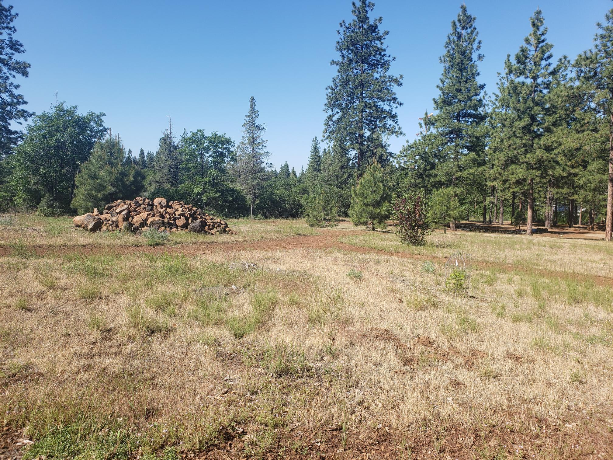 29611 Day Road McArthur, CA 96056 - Photo 22 of 42 day rd 26