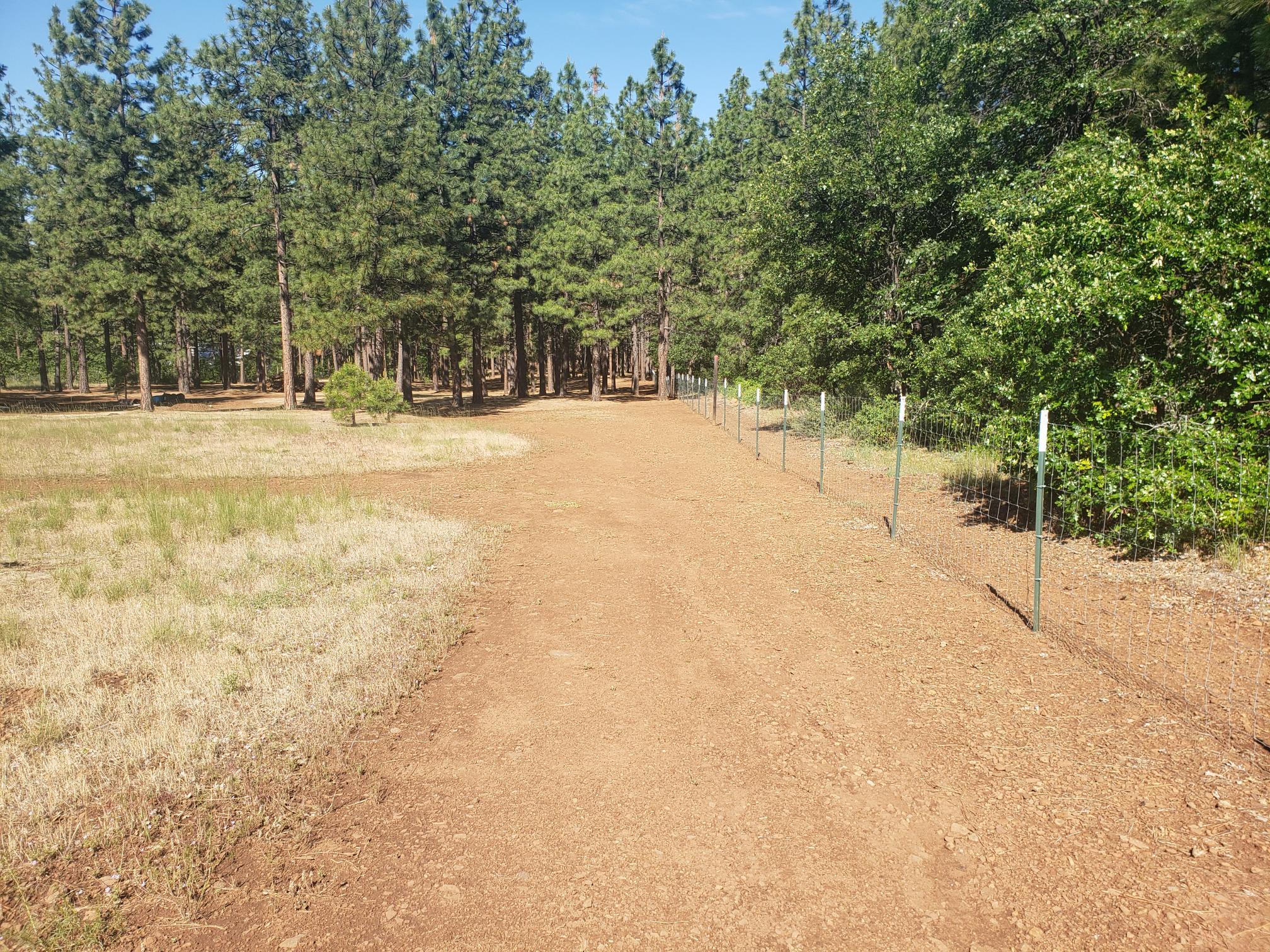 29611 Day Road McArthur, CA 96056 - Photo 23 of 42 cleared road