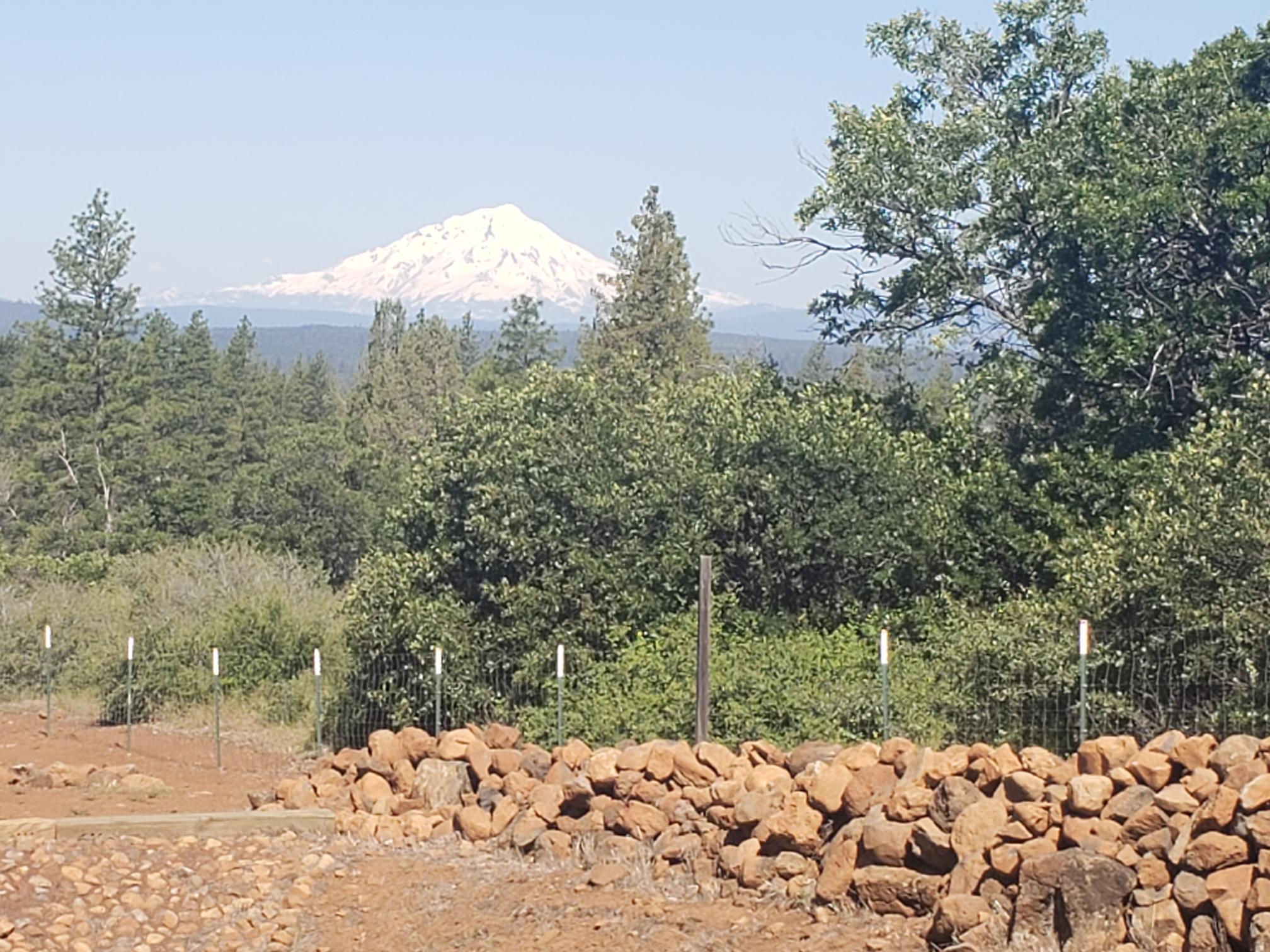 29611 Day Road McArthur, CA 96056 - Photo 24 of 42 rock work around pond