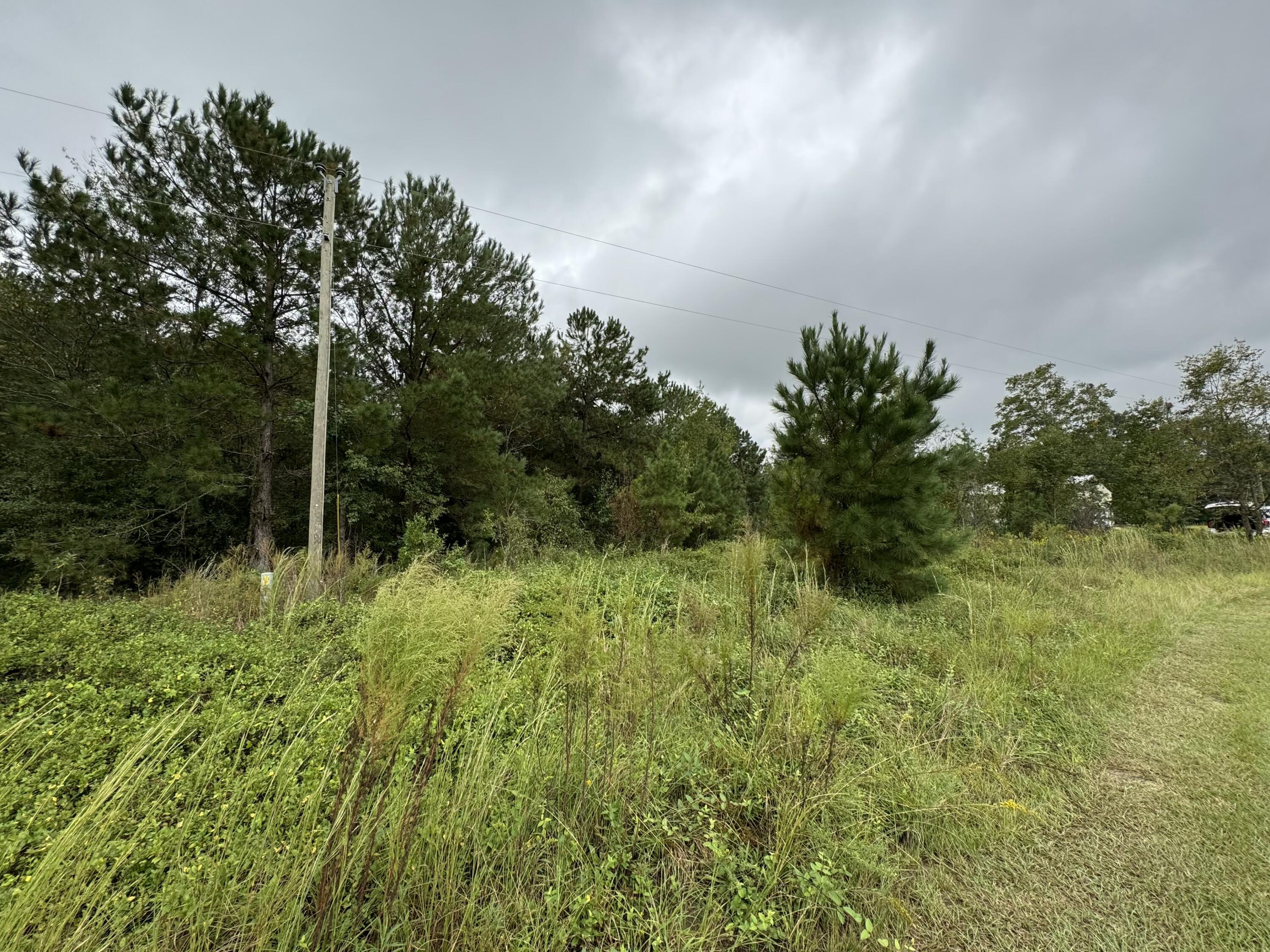 1607 James Martin Road, Unit 2 Manning, SC 29102 - Photo 3 of 4 lot 2- 2