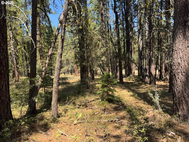 Whitetail Lane Sprague River, OR 97639 - Photo 26 of 27 Gallery Image 26