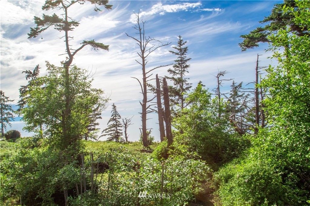 145 West Beach Road Oak Harbor, WA 98277 - Photo 4 of 18 Gallery Image 4