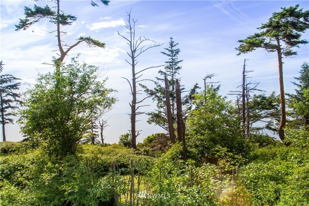 145 West Beach Road Oak Harbor, WA 98277 - Photo 5 of 18 Gallery Image 5