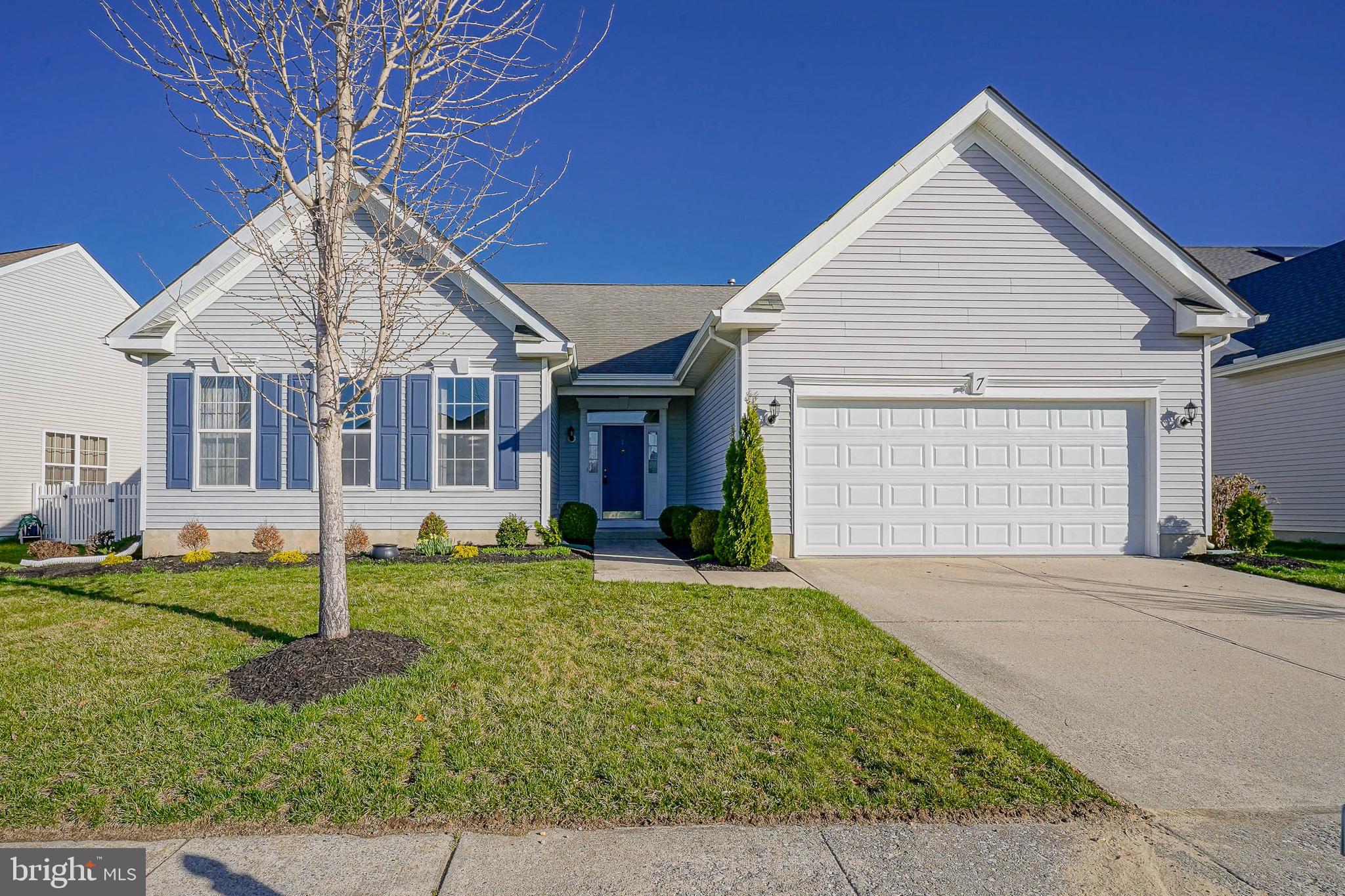 Welcome to 7 Shelly St.