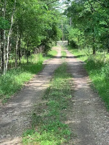 a view of green field with trees in the background