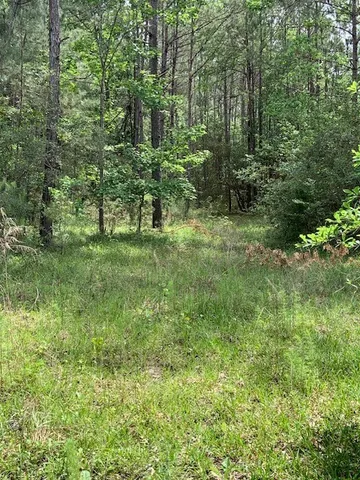a big yard with lots of green space and deers