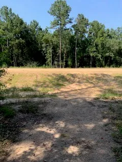 a view of back yard of the house