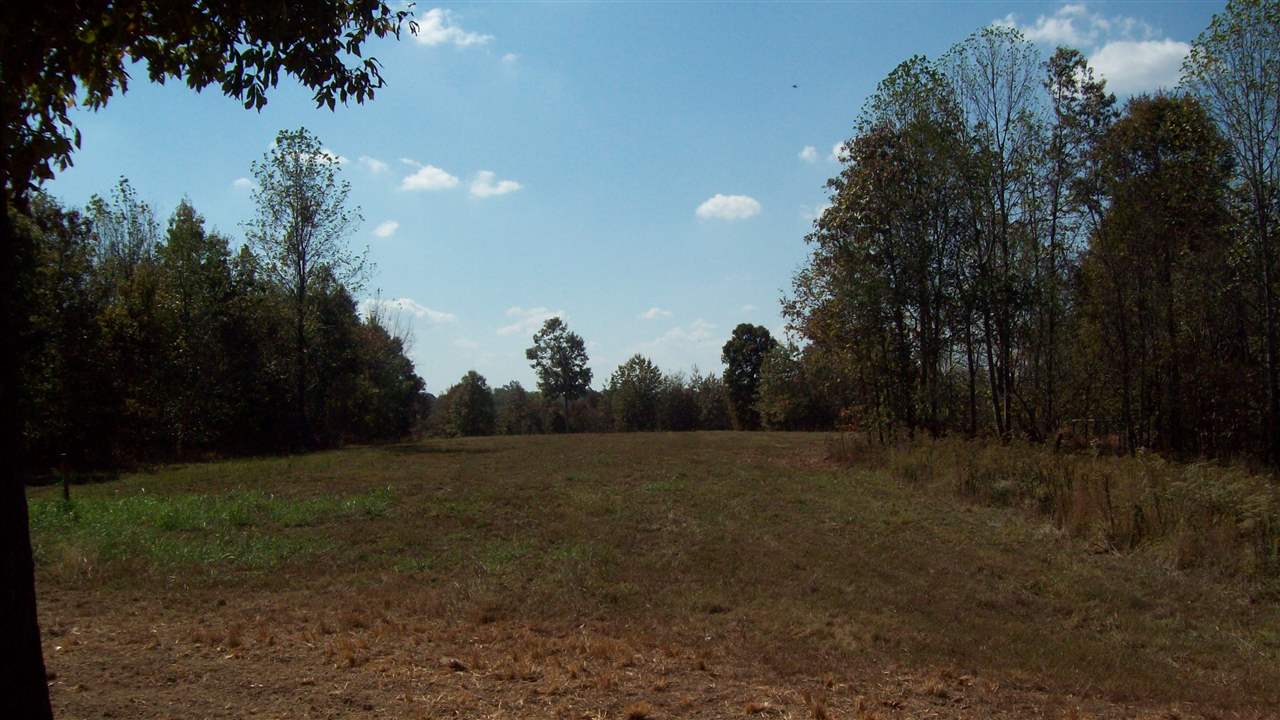 12957 Anneta Road Leitchfield, KY 42754 - Photo 19 of 34 Gallery Image 19