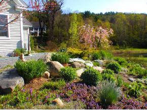 119 Grimes Hill Road Newfane, VT 05345 - Photo 4 of 11 Gallery Image 4