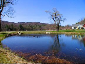 119 Grimes Hill Road Newfane, VT 05345 - Photo 5 of 11 Gallery Image 5