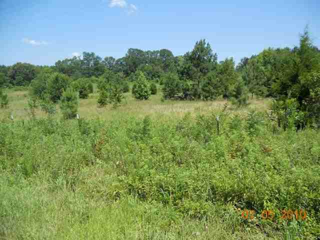 300 Shackleburg Road Williamston, SC 29697 - Photo 20 of 24