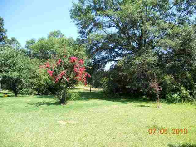 300 Shackleburg Road Williamston, SC 29697 - Photo 3 of 24