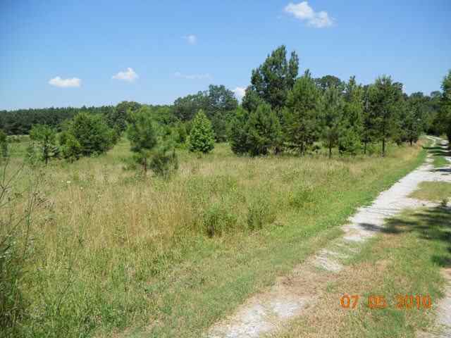 300 Shackleburg Road Williamston, SC 29697 - Photo 4 of 24
