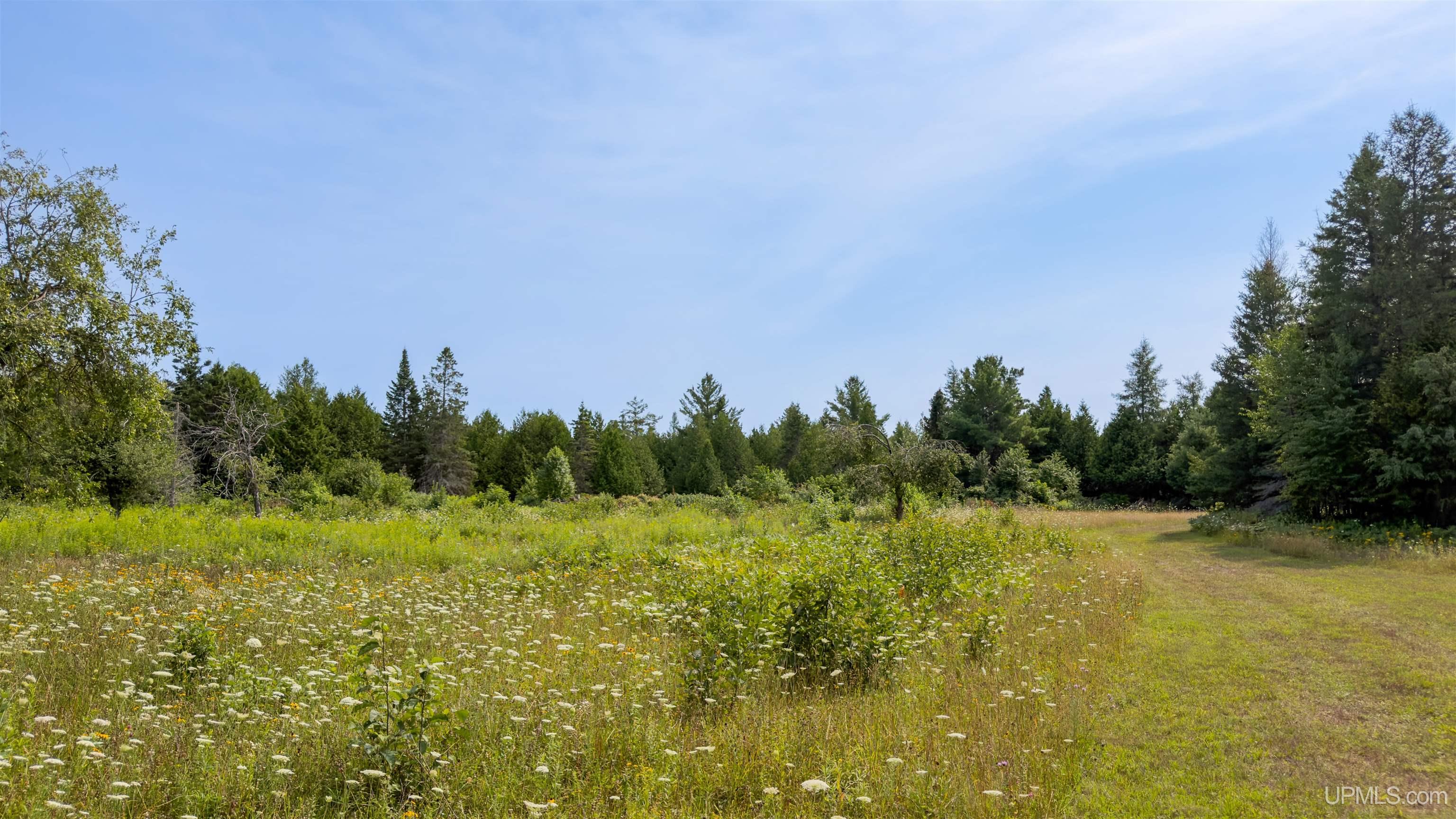 35-acres Town Line Road Gulliver, MI 49840 - Photo 15 of 23 Gallery Image 15