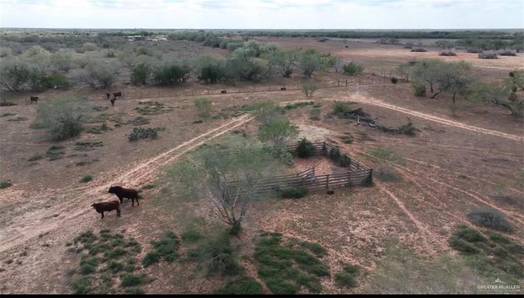 69 Energy Road San Isidro, TX 78588 - Photo 4 of 12 Bird's eye view with a rural view