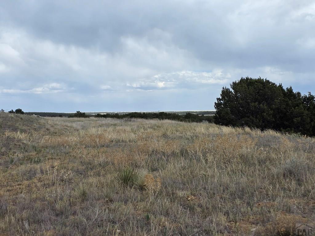 Lot 129 Rosemoore Drive Rye, CO 81069 - Photo 6 of 13