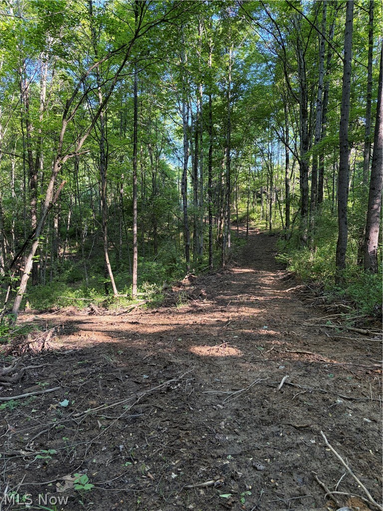 Crum Ridge Road Caldwell, OH 43724 - Photo 26 of 50