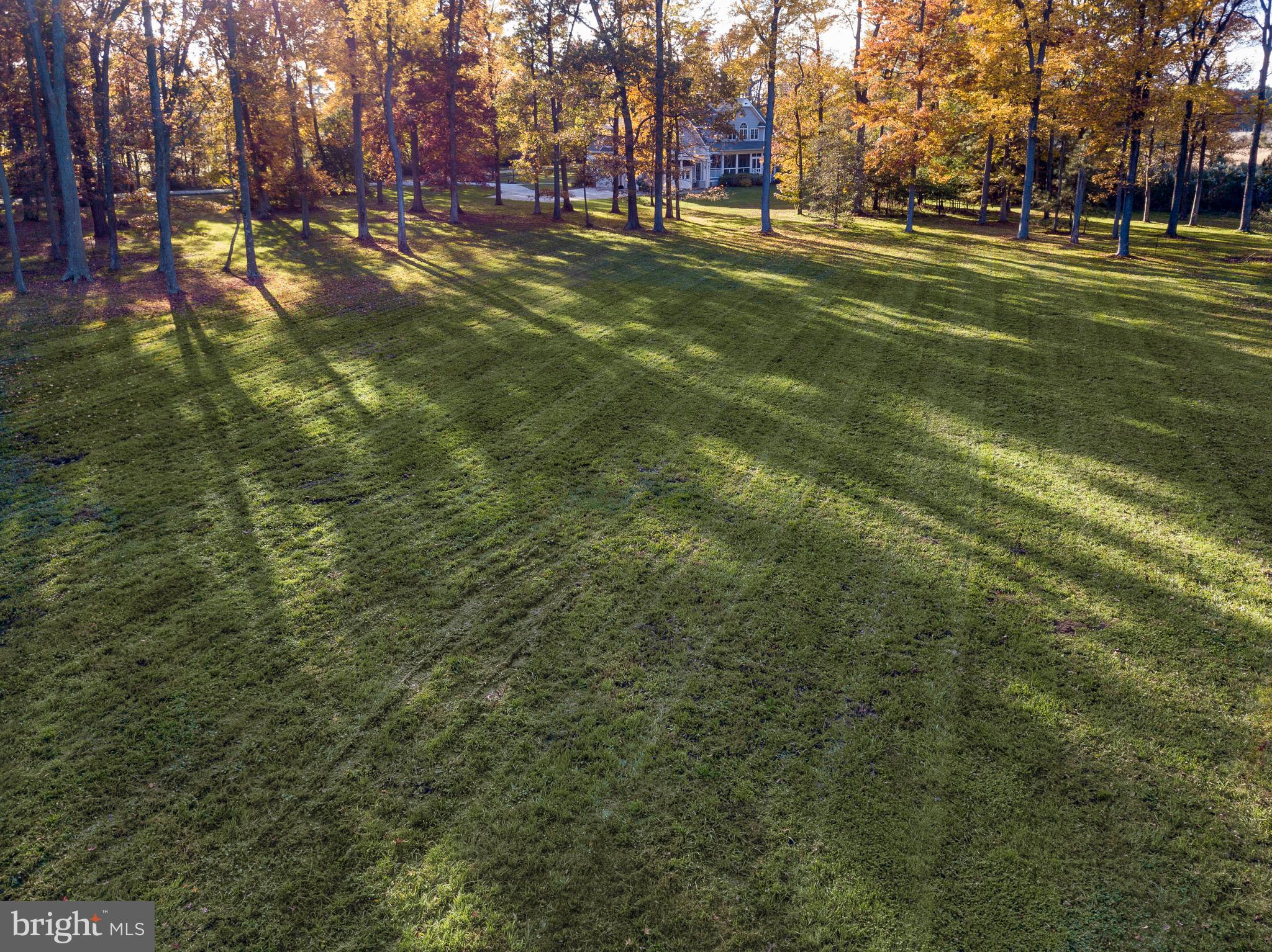 21470 Spinnaker Way Tilghman, MD 21671 - Photo 14 of 50 4 acre adjacent lot also for sale with house