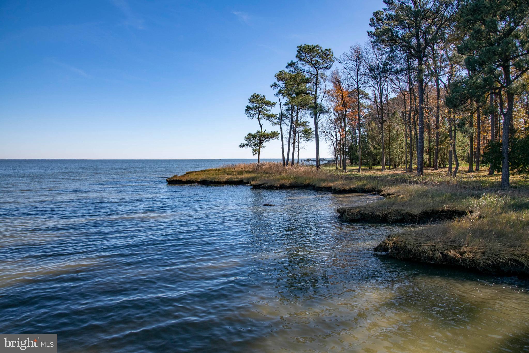 21470 Spinnaker Way Tilghman, MD 21671 - Photo 16 of 50 Lot 3 shoreline