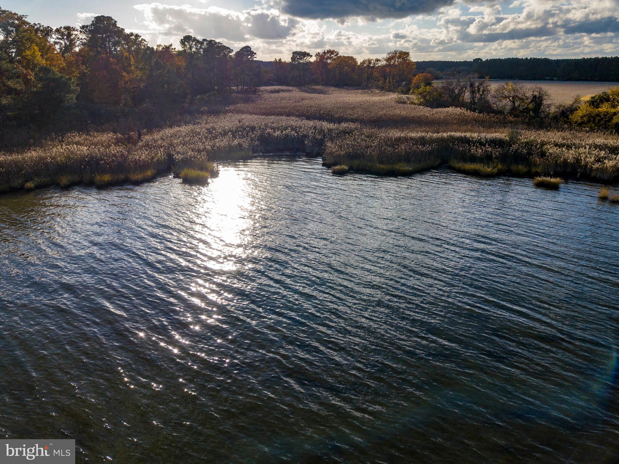 21470 Spinnaker Way Tilghman, MD 21671 - Photo 18 of 50