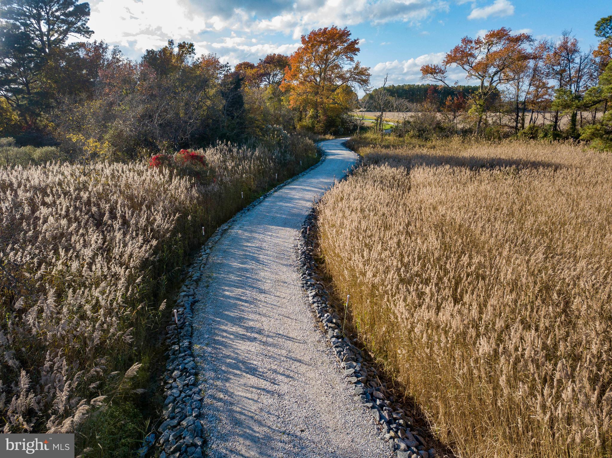 21470 Spinnaker Way Tilghman, MD 21671 - Photo 4 of 50 drive through marshes