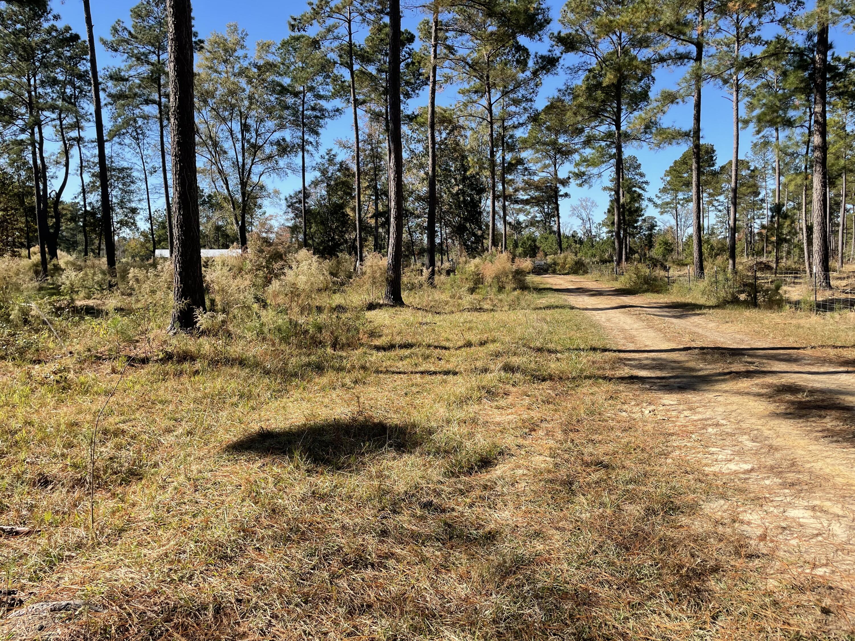 1647 Smoak Road Walterboro, SC 29488 - Photo 32 of 39 IMG_1713