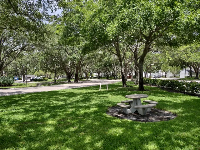 a view of a park with trees and grass