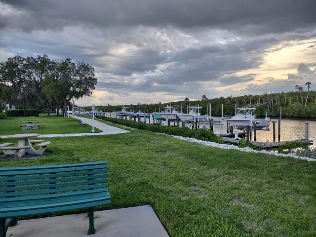 a view of a park with large trees