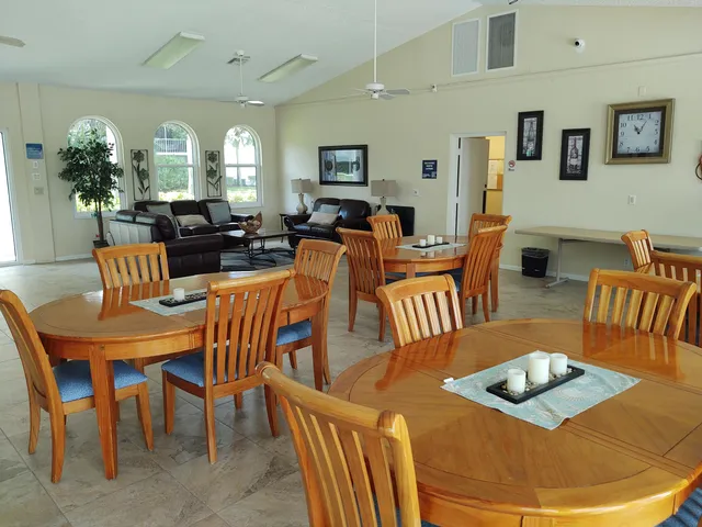 a living room with furniture kitchen view and a potted plant