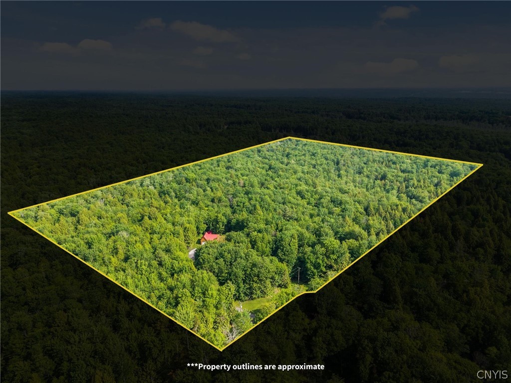 9831 Steam Mill Road Camden, NY 13316 - Photo 42 of 42 Privacy, beauty, and opportunity all in one proper