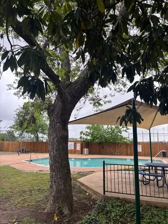a view of a yard with a tree