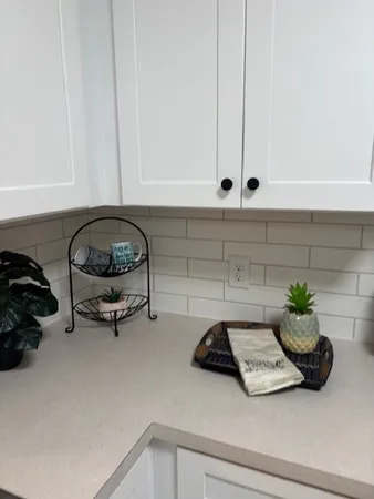a close view of a sink and a potted plant