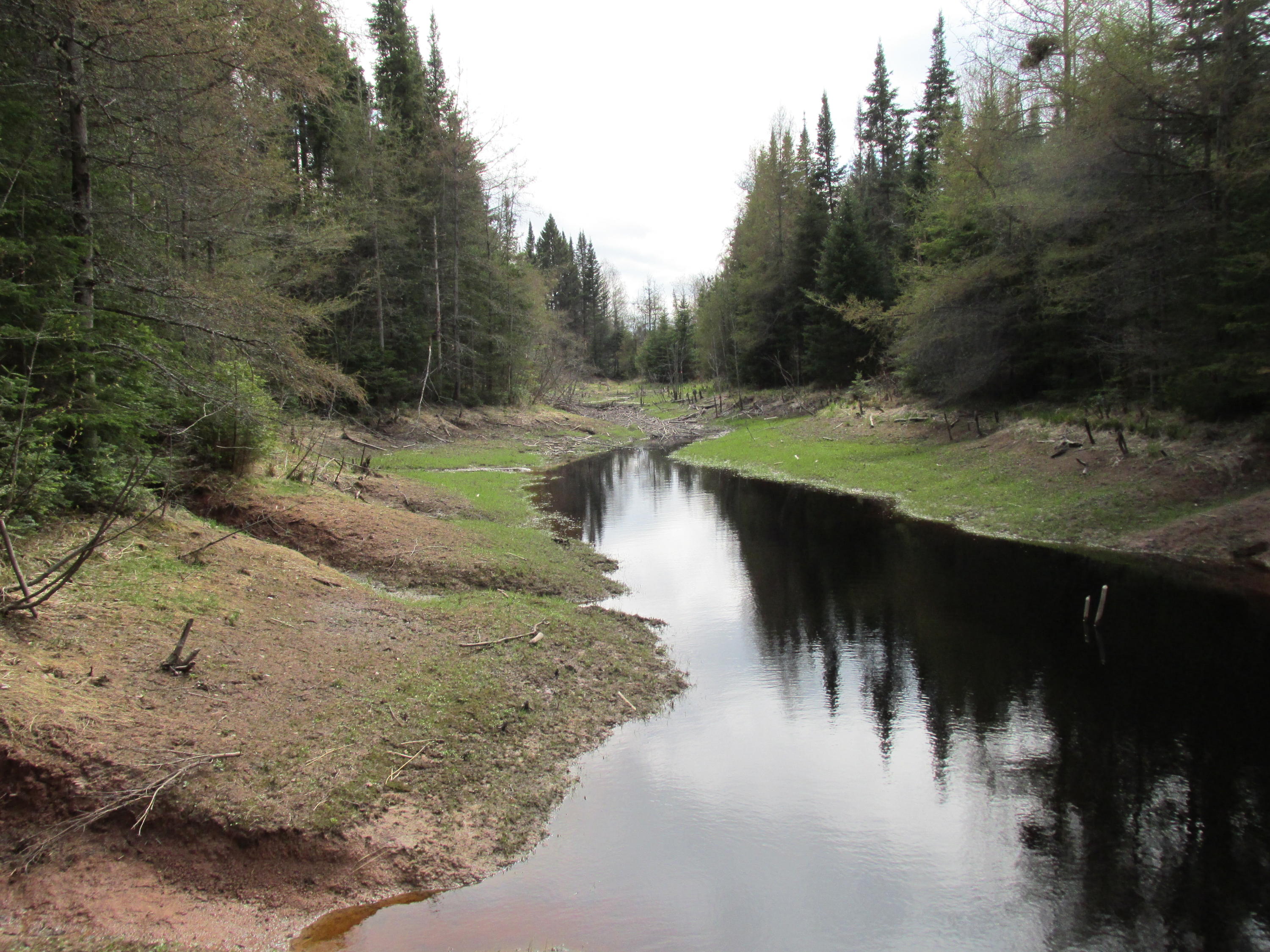 0 West 7 Mile Road Brimley, MI 49715 - Photo 1 of 12 Gallery Image 1