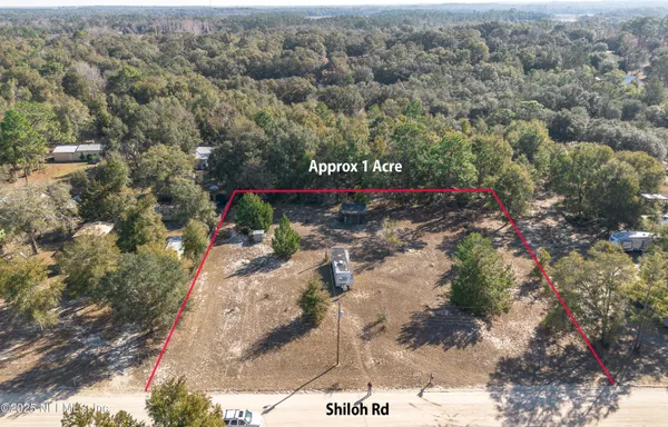 a view of a park with large trees